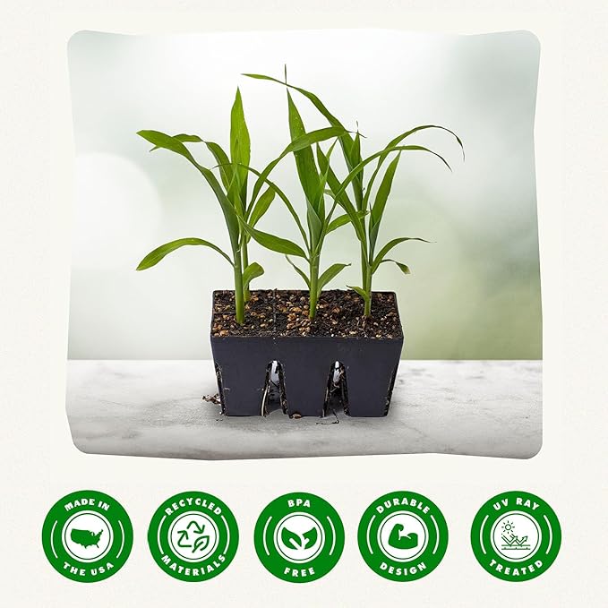 Epic Gardening Reusable Seed Starter Tray - 6 Cell/6 Seedling Starter Trays - Easy Watering, Indoor Greenhouse, Plant Starter, Gardener-Friendly for Seedlings | UV-Treated & BPA-Free - Black