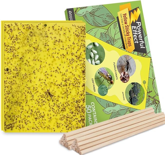 Kensizer 50-Pack Fruit Fly Trap, Yellow Sticky Gnat Traps Killer for Indoor/Outdoor Flying Plant Insect Like Fungus Gnats, Whiteflies, Aphids, Leaf Miners - 6x8 in, Twist Ties Included