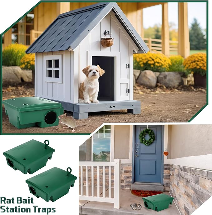 Qualirey 12 Packs Rat Bait Station Box Outdoor Rodent Rat Traps with Key Mouse Bait Station Indoor Mice Box for Outdoor Use Keeping Pets and Children Safe (Green)