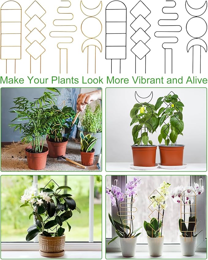 4 Pack Indoor Climbing Plant Trellis, Small Trellis for Potted Plants Outdoor, Metal Garden Trellis Plant Support Trellis with Different Patterns for Vine Ivy Flower (Golden)