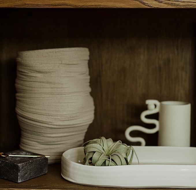 Air Plants - Tillandsia Xerographica, Large 5-7” - 1ct - Live Arrival Gauranteed - House Plants for Home Decor & Gift