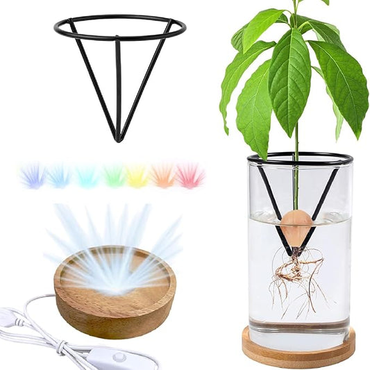 Avocado Seeds - Avocado Seed Starter Vase Rack for Mason Jar of Wide-Mouth 4Pcs, Avocado Seed Holder Triangular Metal Bracket for Family Friends and Gardening Enthusiasts (3 Pcs Vase Set)