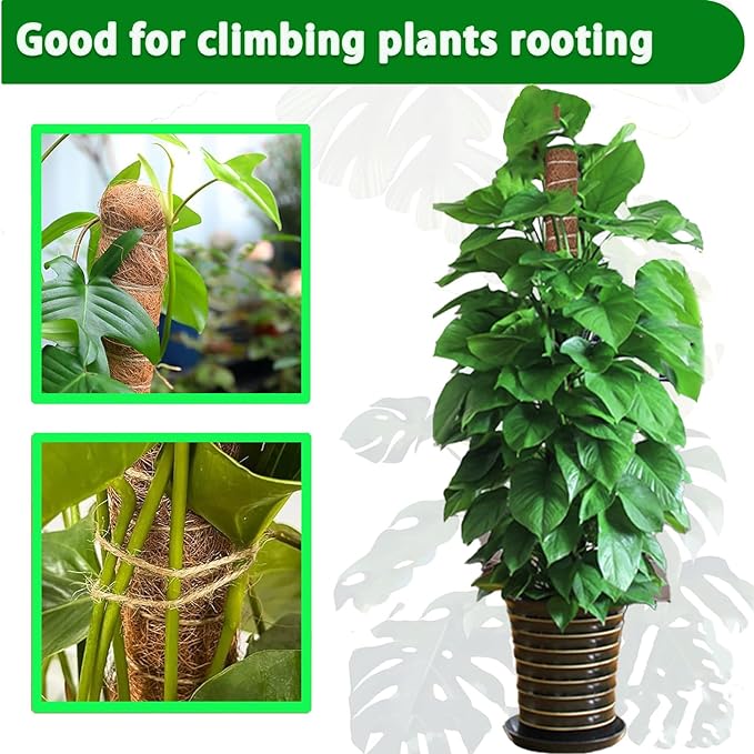 Moss Pole, 4 Pack 17Inch Monstera Plant Support for Climbing Plants Accessories Indoor -Stackable Moss Poles Plant Support Stakes -Coir Plant Pole Sticks for Potted Plants -Pothos, Tall Plant Trellis