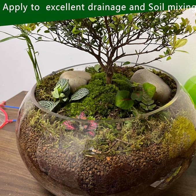 Gardening Akadama Soil - Cactus, Bonsai, Succulent Soil Additives Landscaping Vase Fillings (1/4 inch, 5 QT)