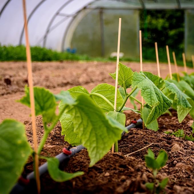 Farm Plastic Supply - Spring Wire & Lock Channel - (25 Pack) - Steel 6.5 ft Spring Lock Track & U-Channel Bundle for Greenhouse Plastic Polyethylene Film or Shade Cloth