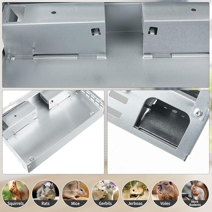 Qualirey 8 Pack Multi Catch Mice Trap Clear Top Humanized Mouse Trap Rodent for Indoor Outdoor Rat Control Pet and Security (Silver)
