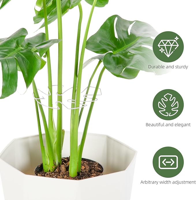 10PCS Iron Monstera Plant Support, Uniquely Designed Indoor Plant Accessories, Stable Plant Support Stakes for Indoor Plant, Turtle Shell Bamboo Clamp Set for Thriving Growth