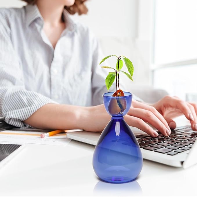 Avocado Vase Avocado Seed Starter Vases Avocado Trees Live Plants Growing kit Glass 2pc