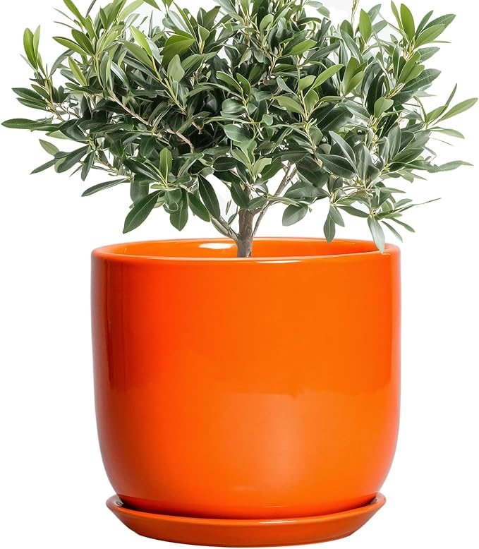 Ceramic Pot for Plants - 8 Inch Plant Pot with Drainage Hole and Saucer, Cylinder Modern Round Planter for Indoor Outdoor Plants, Housewarming Gifts, Office Home Garden Decor, Orange