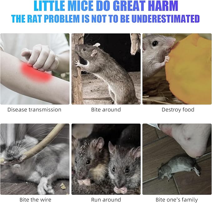 2025 Upgraded Ultrasonic Pest Repellent Indoor Insect Repeller,Pest Control,Repellent Roach,Mouse,Spider,Bugs,Mosquito,Mice,Ant, 6 Packs Rodent Repellent Ultrasonic Plug in,Family and Pets Friendly