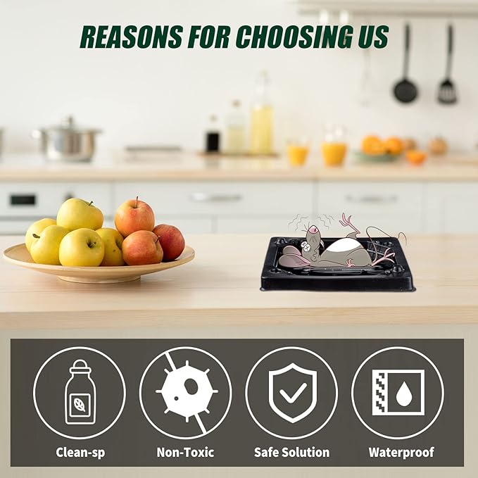 Qualirey 40 Pcs Baited Mouse Glue Traps Indoor for Home Adhesive Plastic Sticky Rat Traps Pads Bulk for House Pest Mice Rats Indoor Outdoor, Simple and Easy to Use (Black)