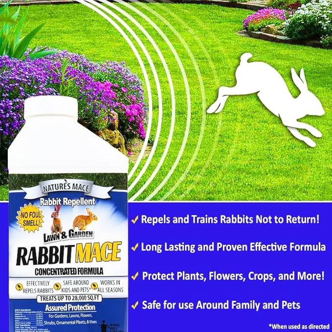Nature’s Mace Rabbit MACE, Rabbit Deterrent for Yard, Rabbit Repellent Outdoor, Mint Scent Rabbit Spray, Garden, Lawn, Keep Rabbits Out, 1 Gallon Ready to Use, Safe Around People, Pets, Plants