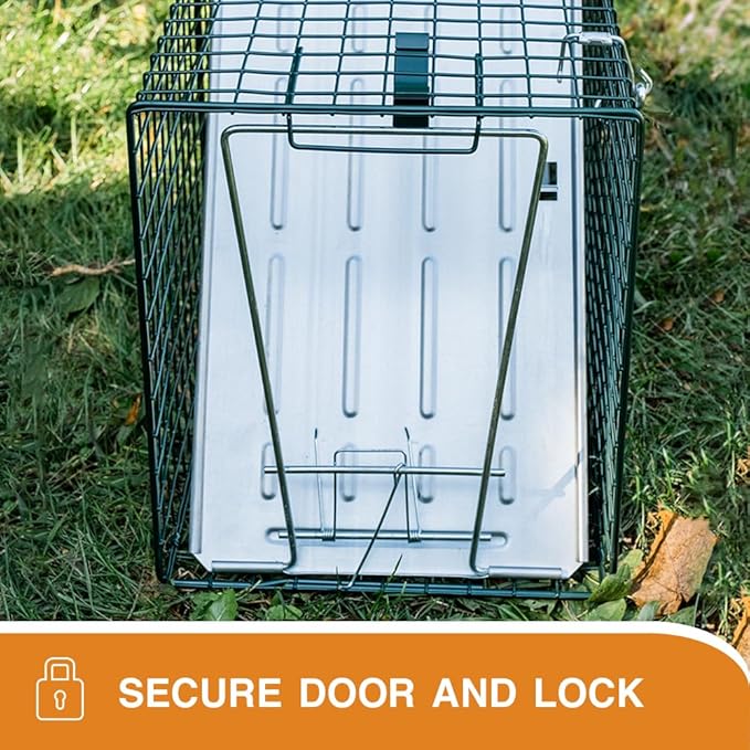 HOMESTEAD 2-Pack Live Animal Trap - Specialized for Raccoons, Opossums, Groundhogs, Skunks, Feral Cats, Squirrels - Heavy Duty Steel Traps, 1-Door, Green, Humane Catch & Release Animal Trap,89-302