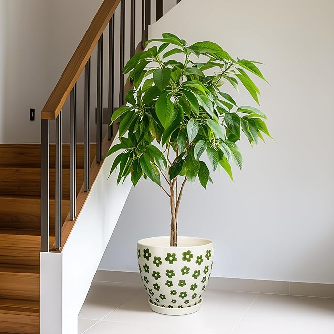 Ceramic Flower Pot - 10 Inch Plant Pot Indoor with Drainage Hole and Saucer, Boho Round Ceramic Planter for Indoor Outdoor Plants, Plant Lover Gifts, Home Garden House Decor, White