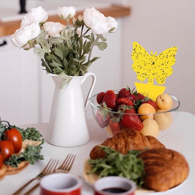 Garsum 36 Pack Fruit Fly Trap Yellow Sticky Fungus Gnat Killer for Indoor and Outdoor Plant Insect Catcher for White Flies,Mosquitos,Fungus Gnats,Flying Insects