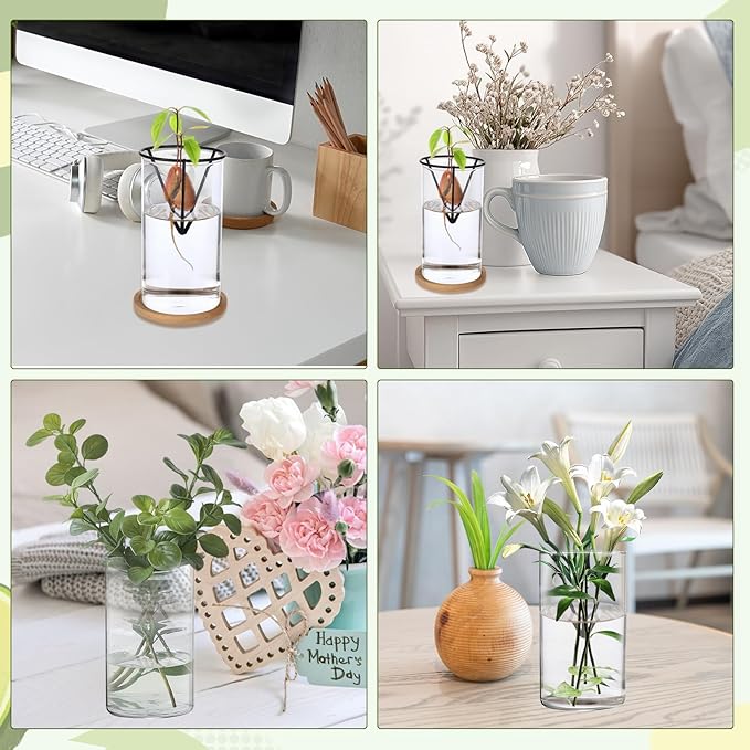 Avocados Vase Avocado Seed Starter Vase, Avocado Trees Live Plants Growing Kit Aguacate Seed Sprouting Kit with Metal Triangle Bracket and Bamboo Base, Glass Sprout Growing Kit for Avocados