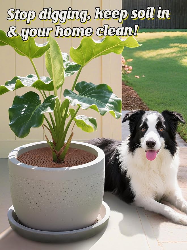 3 Plant Pot Grid Cover Protectors from Animals - 20.8" Dia Cuttable Flower Pot Soil Cover with 36 Stakes, Keep Cats Out of Potted Plants, Indoor Cat Digging Stopper, Baby Safety