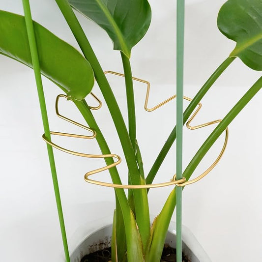 5PCS Durable Monstera Plant Stem Support Stake with Adjustable Leaf Holders - Plant Support Kit for Indoor Botanicals, Cactus Stabilizers, and Turtle Shell Climbers - Ideal for Plant Enthusiasts