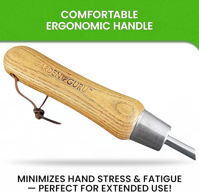 Garden Guru Eco Dandelion Weeder Tool with Ergonomic Wood Handle - 100% Recycled Stainless Steel - Rust Resistant - FSC Certified Wood - Weed Puller for Planting, Weeding, Flower & Vegetable Care