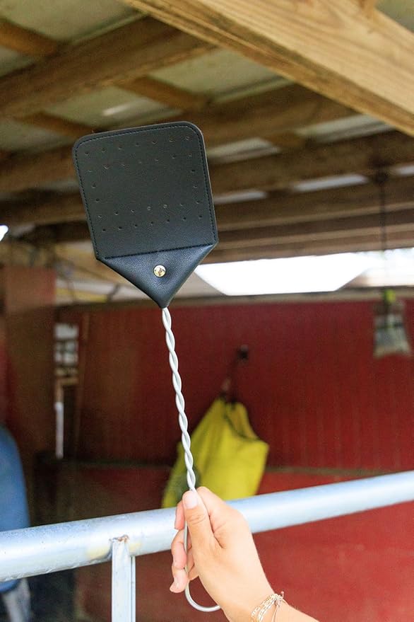 Leather Fly Swatter 2 Pack with 5 Window Fly Traps - Heavy Duty Fly Swatter Manual, Retractable Indoors Outdoors, Large Swatters Multi Pack Long Handle, MATA Moscas