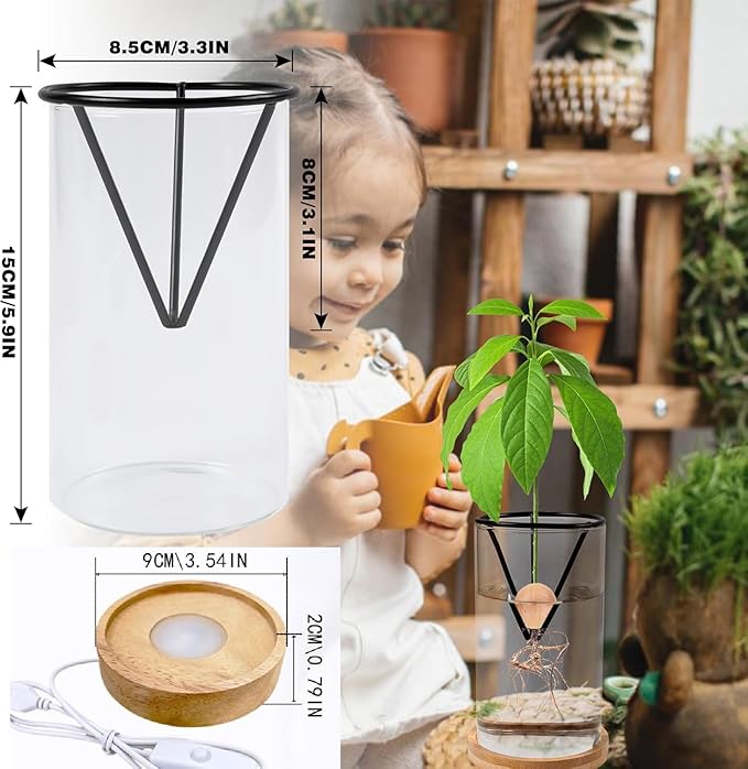 Avocado Seeds - Avocado Seed Starter Vase Rack for Mason Jar of Wide-Mouth 4Pcs, Avocado Seed Holder Triangular Metal Bracket for Family Friends and Gardening Enthusiasts (3 Pcs Vase Set)