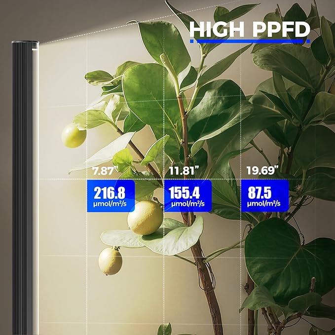 Barrina T1S Standing Grow Light for Indoor Plants with Timer, 65W 660nm High PPFD Full Spectrum, Tera Series Vertical Grow Lights Adjustable Height 5FT-5.6FT, Foot Switch, Non-Glare Design, Black