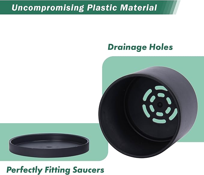 D'vine Dev 12 Pack 3 Inch Mini Plastic Plant Pots, Small Garden Planters for Plant with Drainage Holes and Saucers, Black Color, 74-Y-C-4