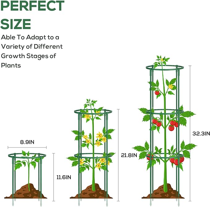 24 Pcs Plant Support Stakes, Half Round Plant Support for Indoor Plants, Stackable Garden Flower Support, Plant Stakes for Tomato, Monstera, Peony, Hydrangea Climbing Plants (6.2 "Wide X 11.6" High)