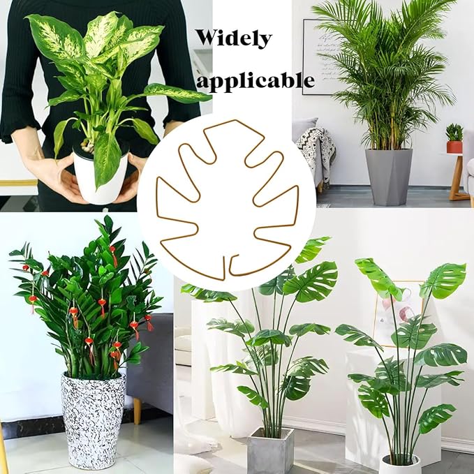 Spiritlele 5 Pcs Gold Plant Stem Support Holder Set Monstera Plant Support Clamp Growth Accessories for Indoor Plants Big