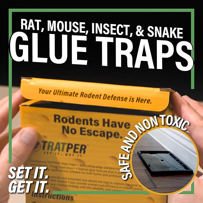Glue Traps for Mice,Rat,Mouse,Snake,Lizard,Insect. 10 Pack. Extra Strength,Pre-Baited Adhesive.Heavy Duty Plastic Tray.Non-Toxic,Chemical-Free Pest Control for Home. 10Pack