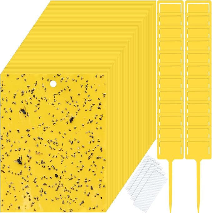 Qualirey 150 Pcs 6 x 8 Inch Sticky Traps for Gnats Dual Sided Fruit Fly Sticky Traps for Indoor and Outdoor Plant with Twist Ties and Plastic Holders for Flying Plant Insect, Fungus Gnats (Yellow)