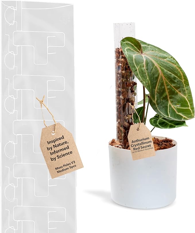 V3 Medium GrowPole - Front Opening, Stackable Plastic Moss Poles for Climbing Plants, Monstera Plant Support-Plant Climbing Pole, DIY Plant Support, Works for Philodendron & Anthuriums - 5 Pcs