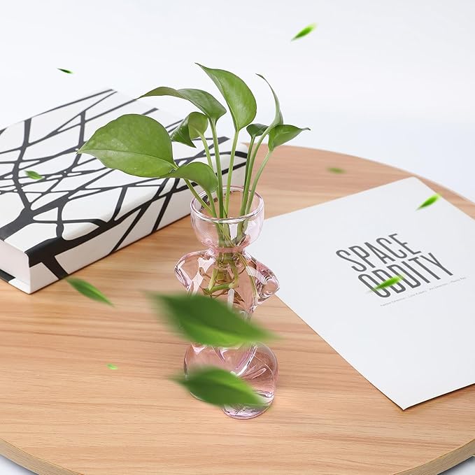 Propagation Vases for Plants Plant Propagation Jars Unique Body Avocado Vase Glass Planter Perfect for Seed Starting Water Rooting and Home Decor Gift for Father