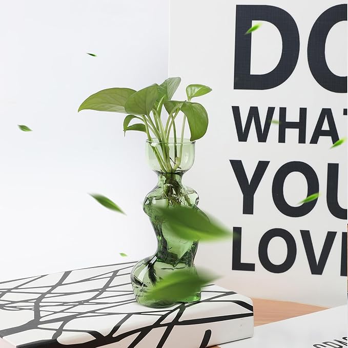 Propagation Vases for Plants Plant Propagation Jars Unique Body Avocado Vase Glass Planter Perfect for Seed Starting Water Rooting and Home Decor Gift for Father