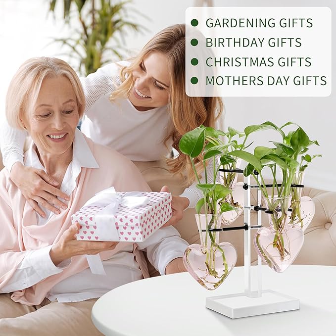 Plants Propagation Stations Plant Terrarium Kit Gift for Women Birthday Glass Planters for Indoor Plants Home Office Decor Acrylic Plant Accessories - 4 Love Hear Vase