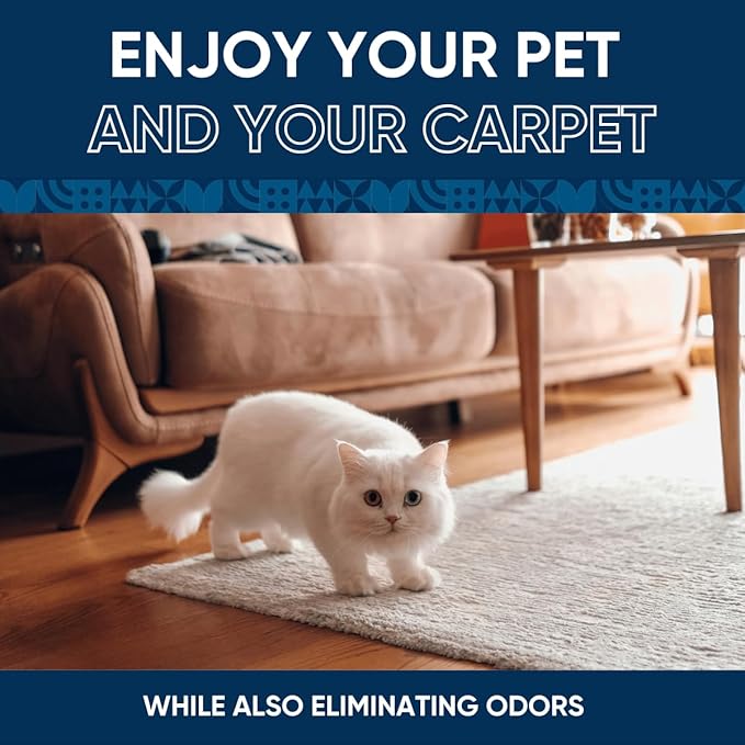 Pet Carpet Cleaner | Works Faster and Better than Pet Enzyme and Orange Based Solutions | Best Carpet Cleaner Spray for Pet, Dog, Cat Urine Stains and More (160 Fl Oz)