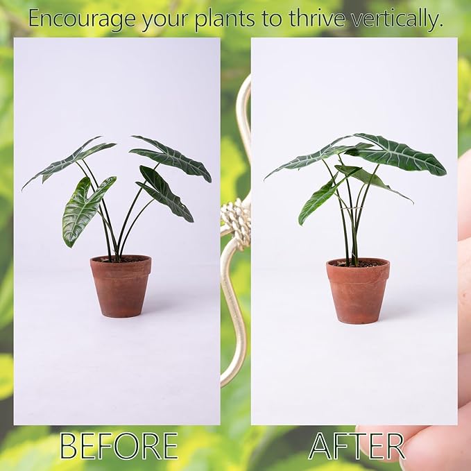 5Pcs Monstera Plant Stem Support Hook (2.75x2.75 inches) - Durable Metal Stem Support for Monstera & Fishbone Cactus, Easy Installation, Ideal Gift for Plant Lovers & Home Decor