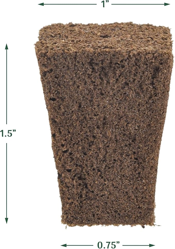 50-Pack Seed Starter Plug for Seedlings and Cuttings, Growth Sponge for Fast Germination and Strong Roots with Soil or Hydroponic Applications