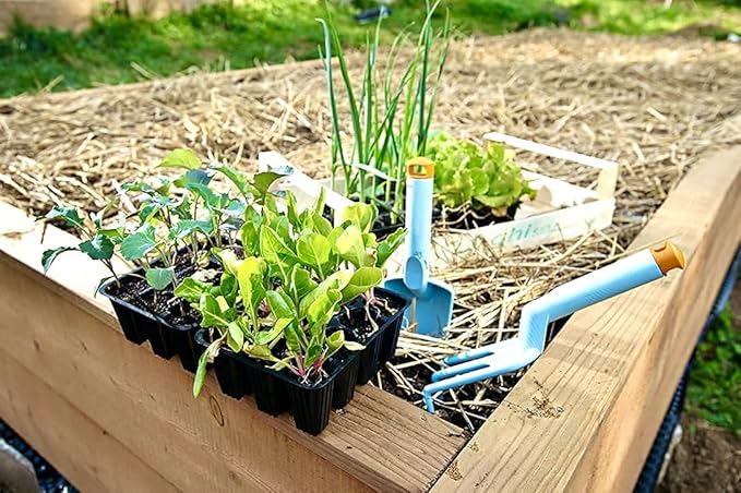 Blue Mountain Hay | Organic Garden Straw (5 lb) | Natural Mulch for Gardening, Flower Beds, Yard Landscaping, New Lawn Grass Seeding, Composting | Covers up to 75 sq ft