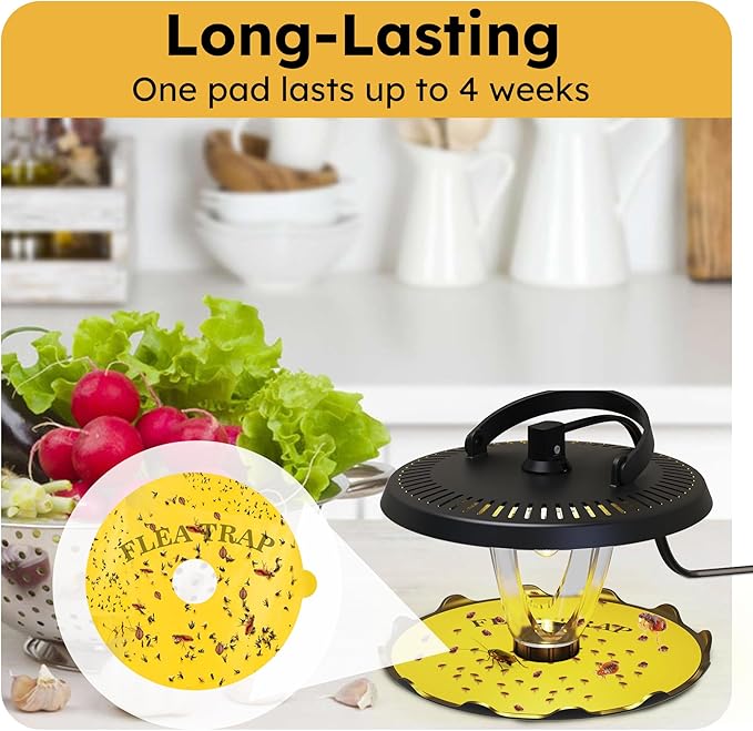 Flea Trap for Inside Your Home Indoor Electric Flea Light Catcher and Kiler for House 2 Pack with 8 Sticky Pads Refills and 4 Replacement Lightbulb