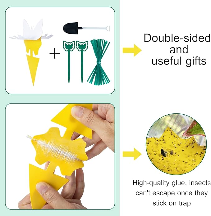 60 Pack Fruit Fly Trap, Fungus Gnat Trap Killer Protect Plants Indoor Outdoor, Double Sided Yellow Bug Sticky Traps for Fungus Gnat, Fruit Fly and Other Insects