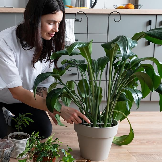 2 Pack 23.6'' Taller Plant Trellis for Climbing Plants Indoors & Outdoor, Garden Metal Trellis Plant Support for Potted Plants, Houseplants, Flowers Vine, Ivy, Pothos, Monstera