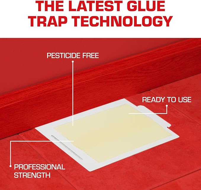 Tomcat Glue Boards with Immediate Grip Glue for Mice, Cockroaches, and Insects, Use Flat or Covered, Ready-To-Use, 4 Traps
