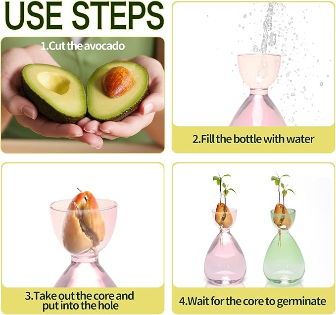 Avocado Vase Avocado Seed Starter Vases Trees Live Plants Growing kit Glass 2pc