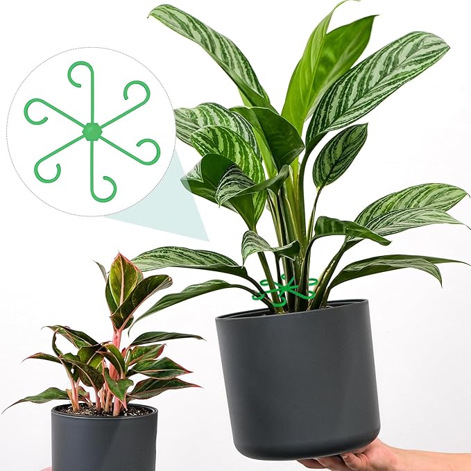 8PCS Plant Stem Support, 4 Sizes Climbing Houseplant Stem Holders, Plastic Reusable Flower Trellis Stem Hook Plant Care Growth Accessories for Flower Plants Indoor Outdoor