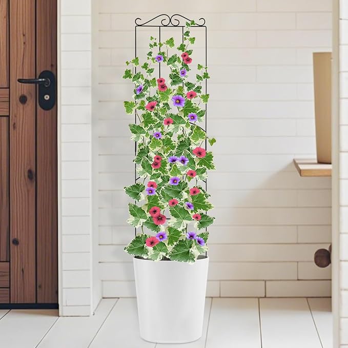 4 Pack 32'' Plant Trellis Indoor - Metal Trellis for Climbing Plants Indoor, Garden Trellis for Climbing Plants Outdoor Houseplants Flowers Vine Ivy, Rectangular Shape, Black