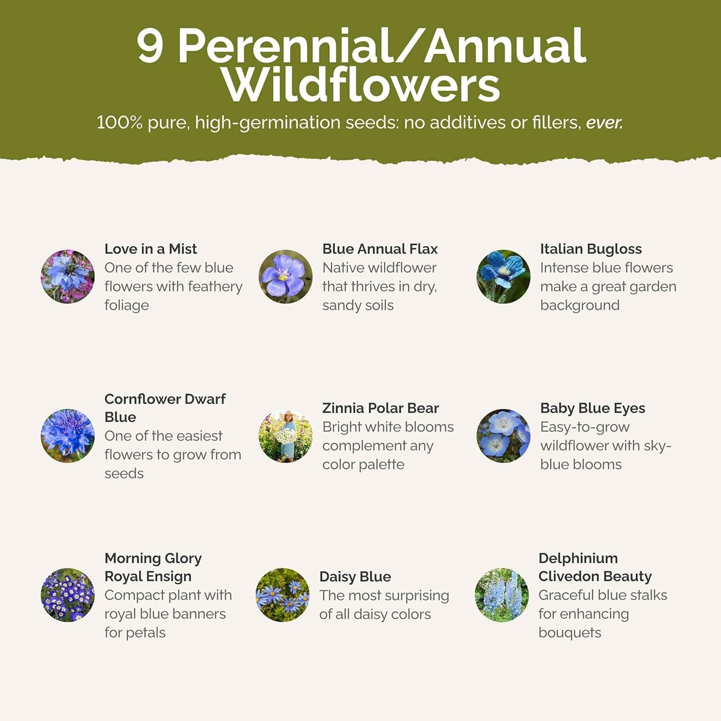 Eden Brothers Blue Ribbon Flower Mixed Seeds for Planting, 1 lb, 480,000+ Seeds with Blue Bell, Cornflower Blue, Chicory | Attracts Pollinators, Plant in Spring or Fall, Zones 3, 4, 5, 6, 7, 8, 9, 10