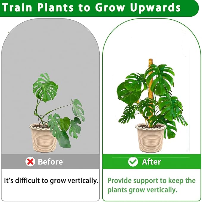 Moss Pole, 4Pack 21 Inch Plant Support Stakes for Indoor Plants, Monstera Plant Support Stakes, 69 Inch Tall Coir Plant Pole Sticks for Potted Plants, Pothos, Philodendron, Climbing Plants Accessories