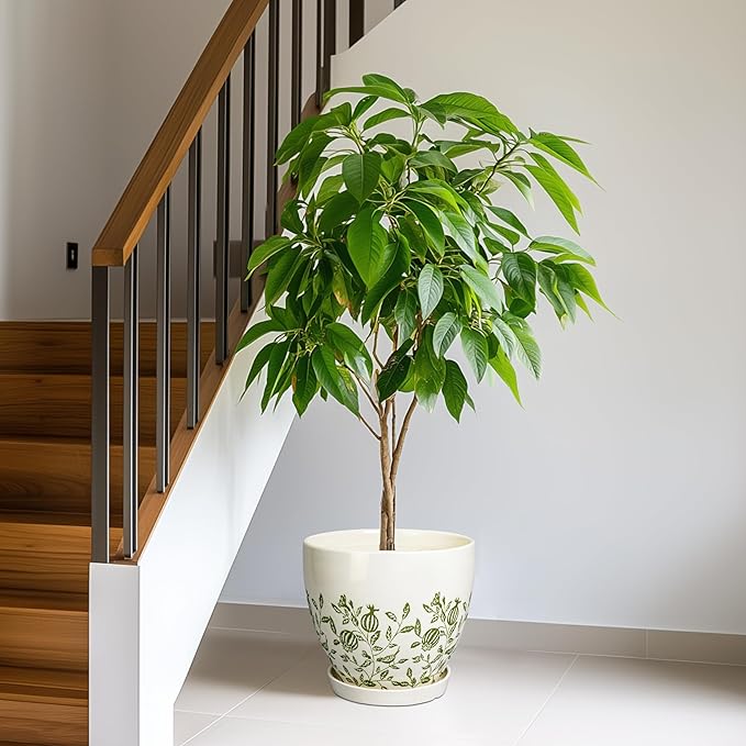 10 Inch Plant Pot - Ceramic Planter with Drainage Hole and Saucer, Boho Round Decorative Flower Pot for Indoor Plants, Housewarming Gifts, Office Garden Home Outdoor Decor, White