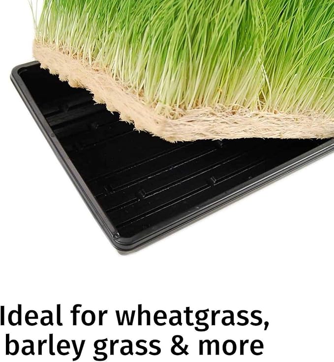 Micro-Mat Minis Hydroponic Grow Pads - for Organic Production - Plant & Seed Germination: Wheatgrass, Microgreens, More - Measures 4" x 4" to fit 5" x 5" Greenhouse Plant Trays (48)